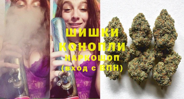 PSILOCYBIN Абаза