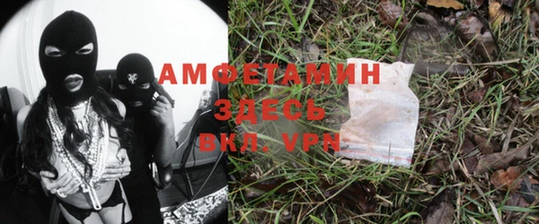 PSILOCYBIN Абаза