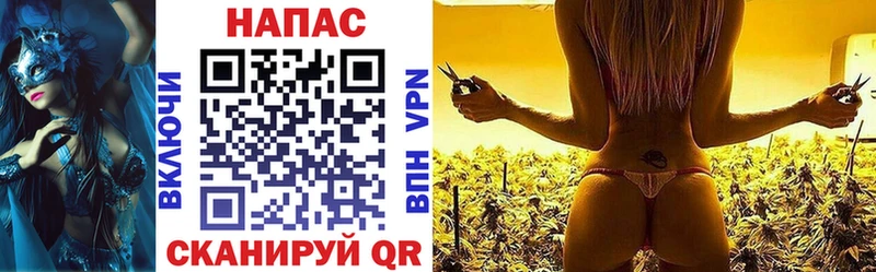 где купить   ОМГ ОМГ как войти  Бошки марихуана гибрид  Адыгейск 
